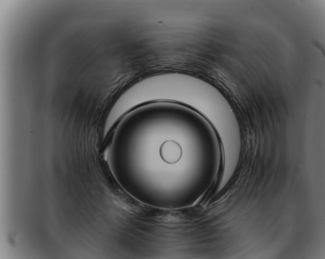 X0000091860412200709121333