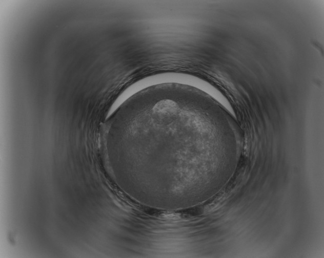 X0000091860413200709121333