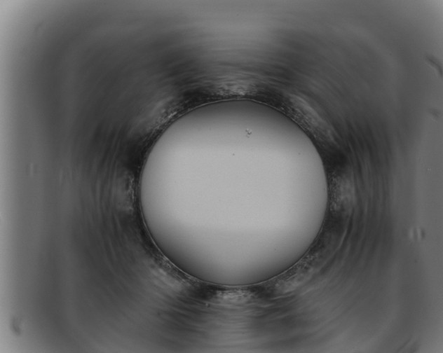 X0000091860414200709121333