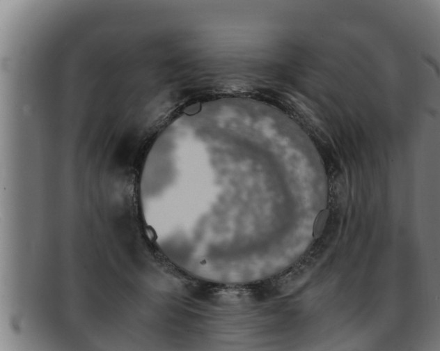 X0000091860415200709121333