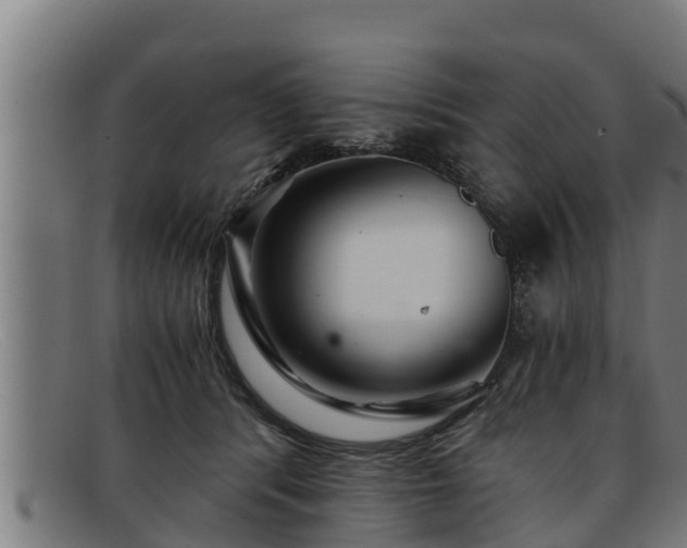 X0000091860416200709121333