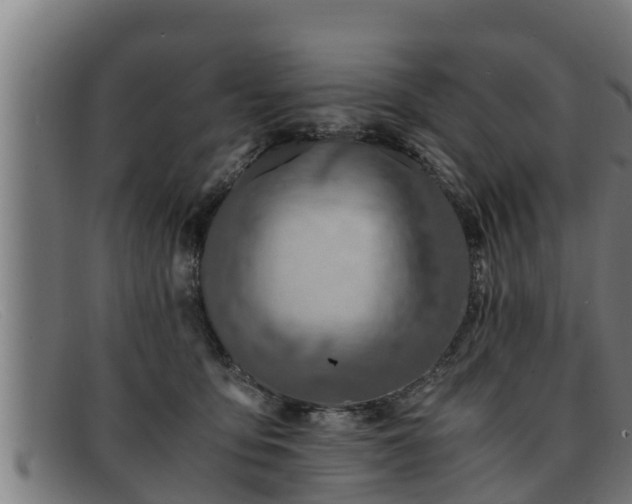 X0000091860419200709121333