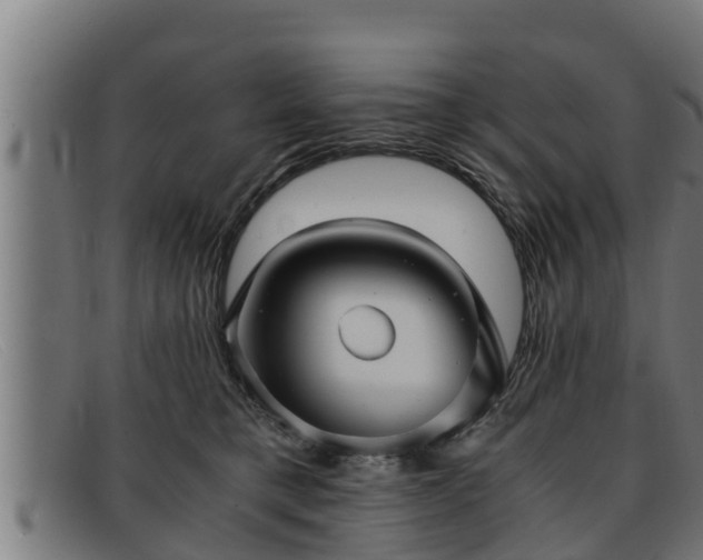 X0000091860421200709121333