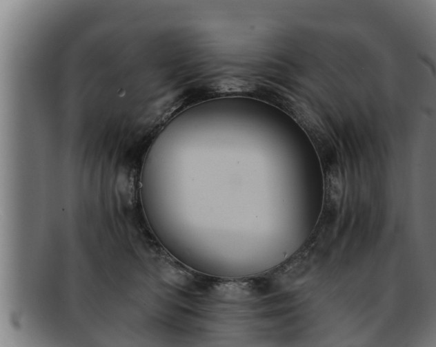 X0000091860422200709121333