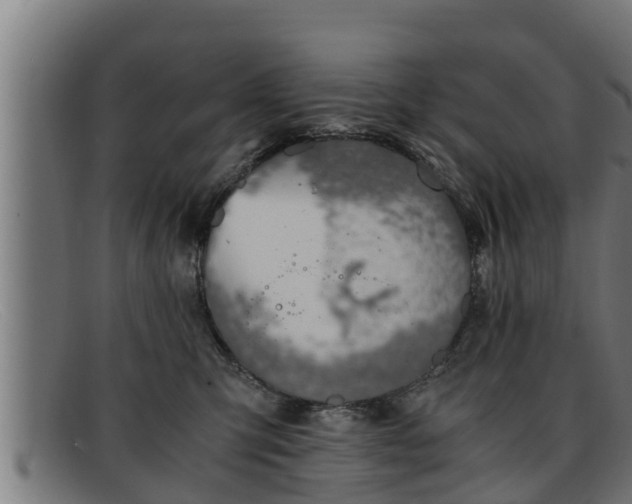 X0000091860423200709121333