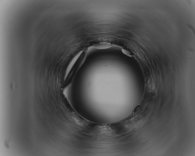 X0000091860424200709121333