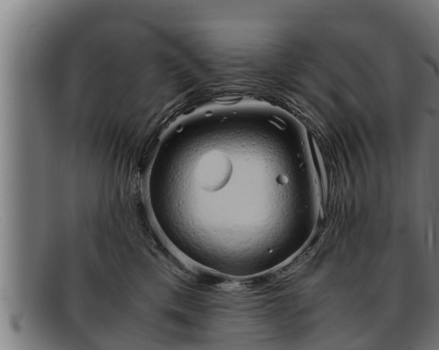 X0000091860425200709121333