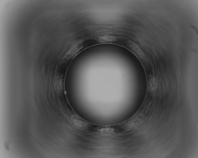 X0000091860426200709121333