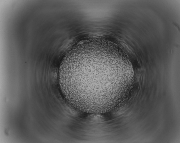 X0000091860427200709121333