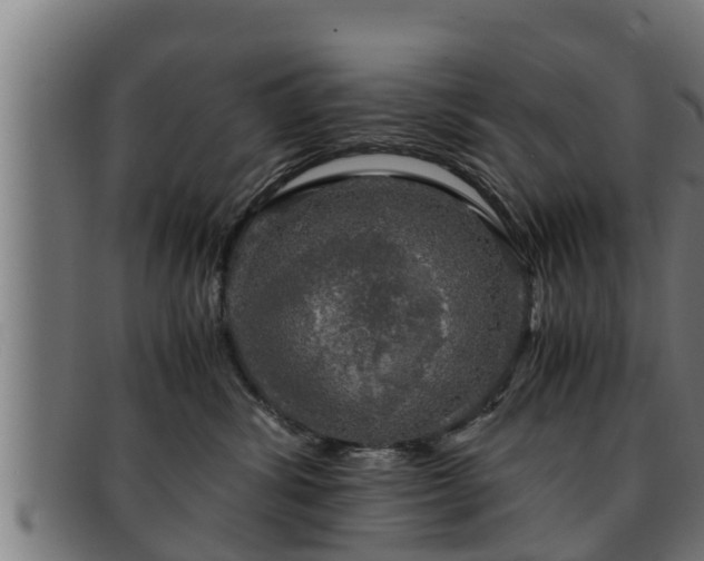 X0000091860428200709121333