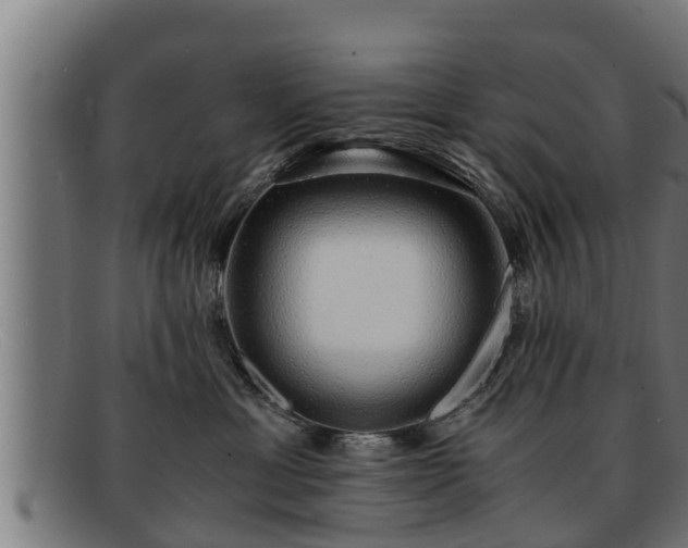 X0000091860429200709121333