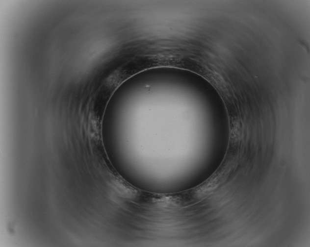 X0000091860430200709121333