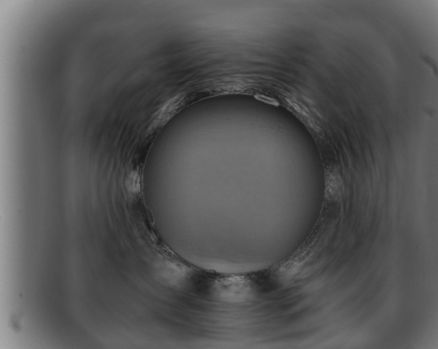 X0000091860431200709121333