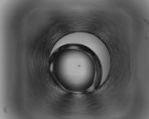 X0000091860432200709121333