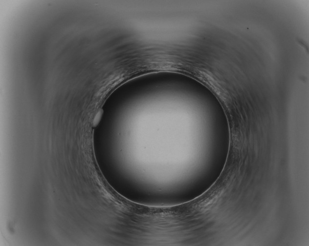 X0000091860433200709121333