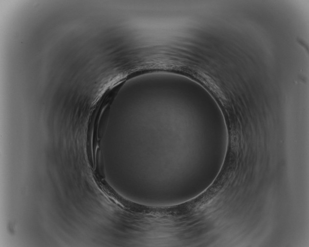 X0000091860434200709121333