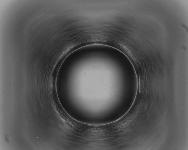 X0000091860435200709121333