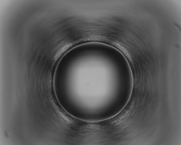 X0000091860437200709121333