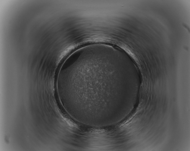 X0000091860438200709121333