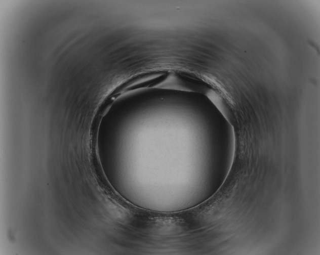 X0000091860439200709121333