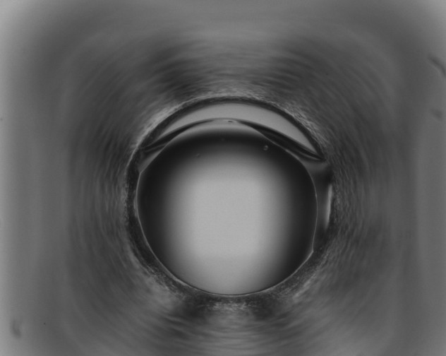 X0000091860440200709121333