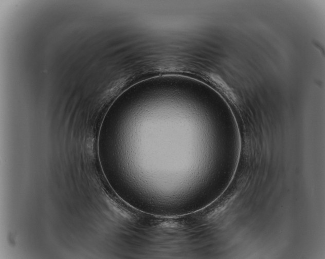 X0000091860441200709121333