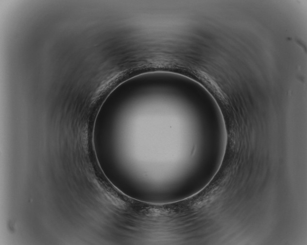 X0000091860442200709121333