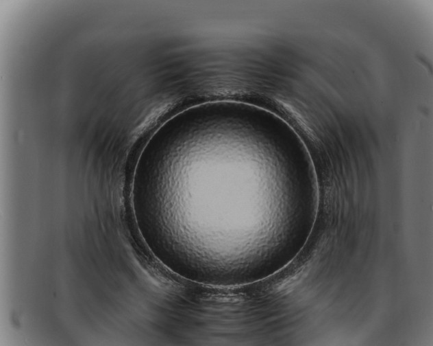 X0000091860443200709121333