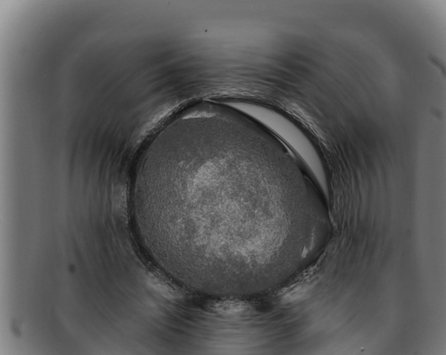 X0000091860444200709121333