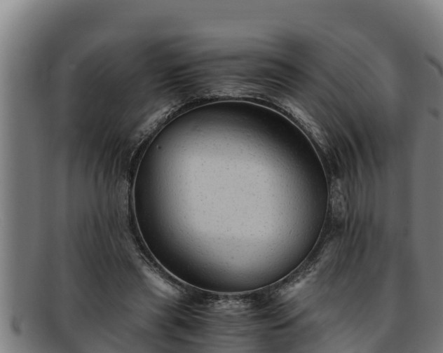 X0000091860445200709121333