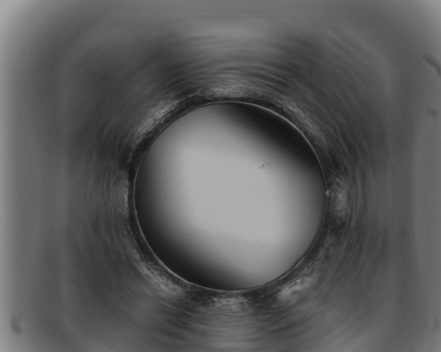 X0000091860446200709121333