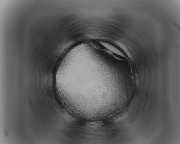 X0000091860447200709121333