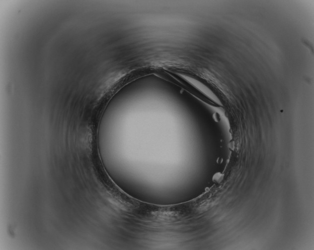 X0000091860448200709121333