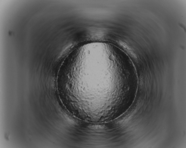 X0000091860449200709121333