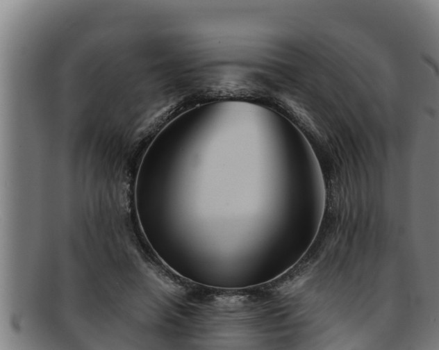 X0000091860450200709121333