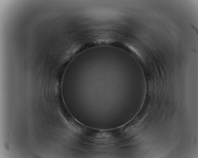 X0000091860451200709121333