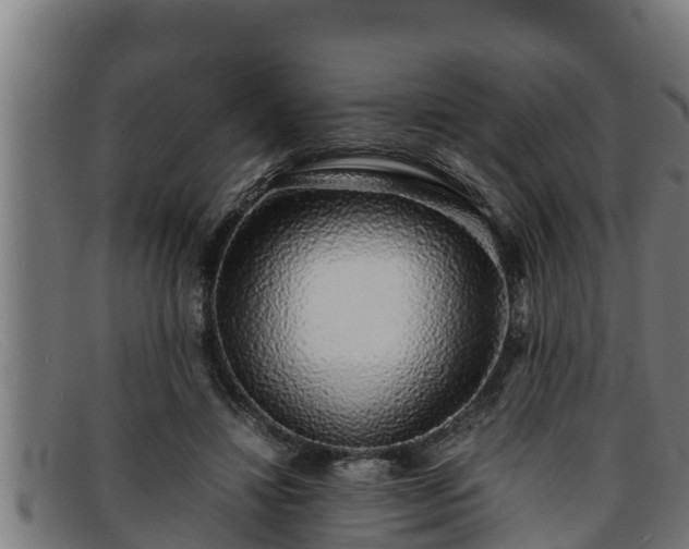 X0000091860452200709121333