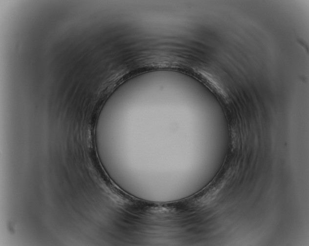 X0000091860453200709121333