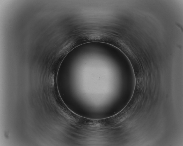 X0000091860454200709121333