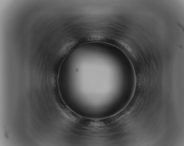 X0000091860455200709121333