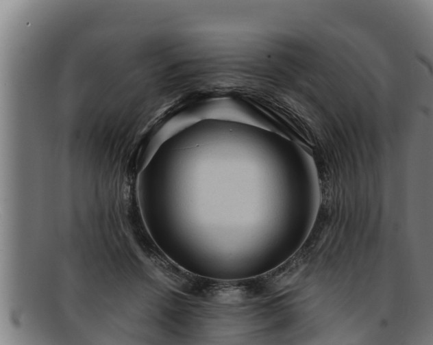 X0000091860456200709121333