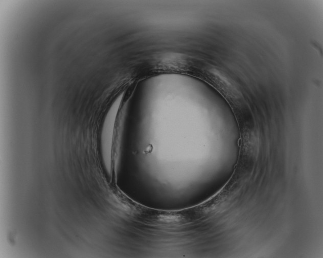 X0000091860457200709121333