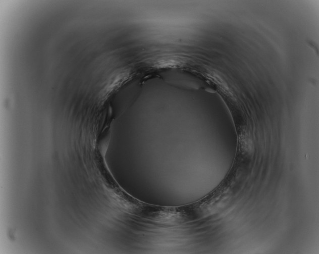 X0000091860458200709121333