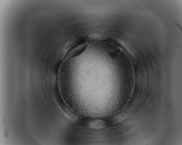 X0000091860459200709121333