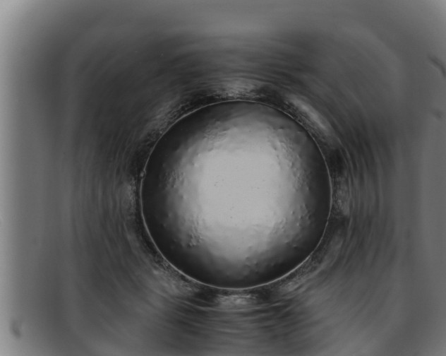 X0000091860461200709121333