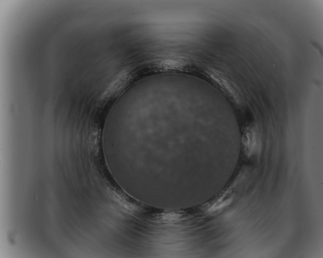 X0000091860462200709121333