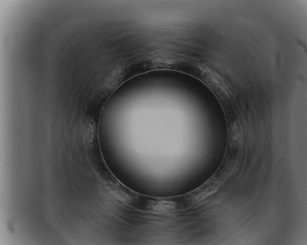 X0000091860463200709121333