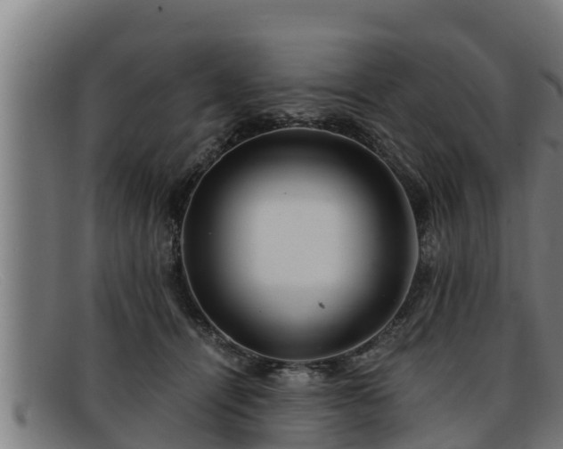 X0000091860464200709121333