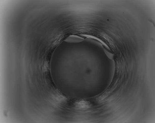 X0000091860467200709121333