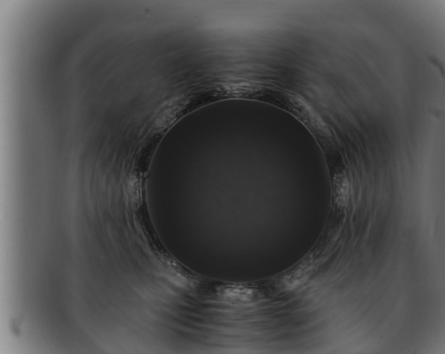 X0000091860471200709121333